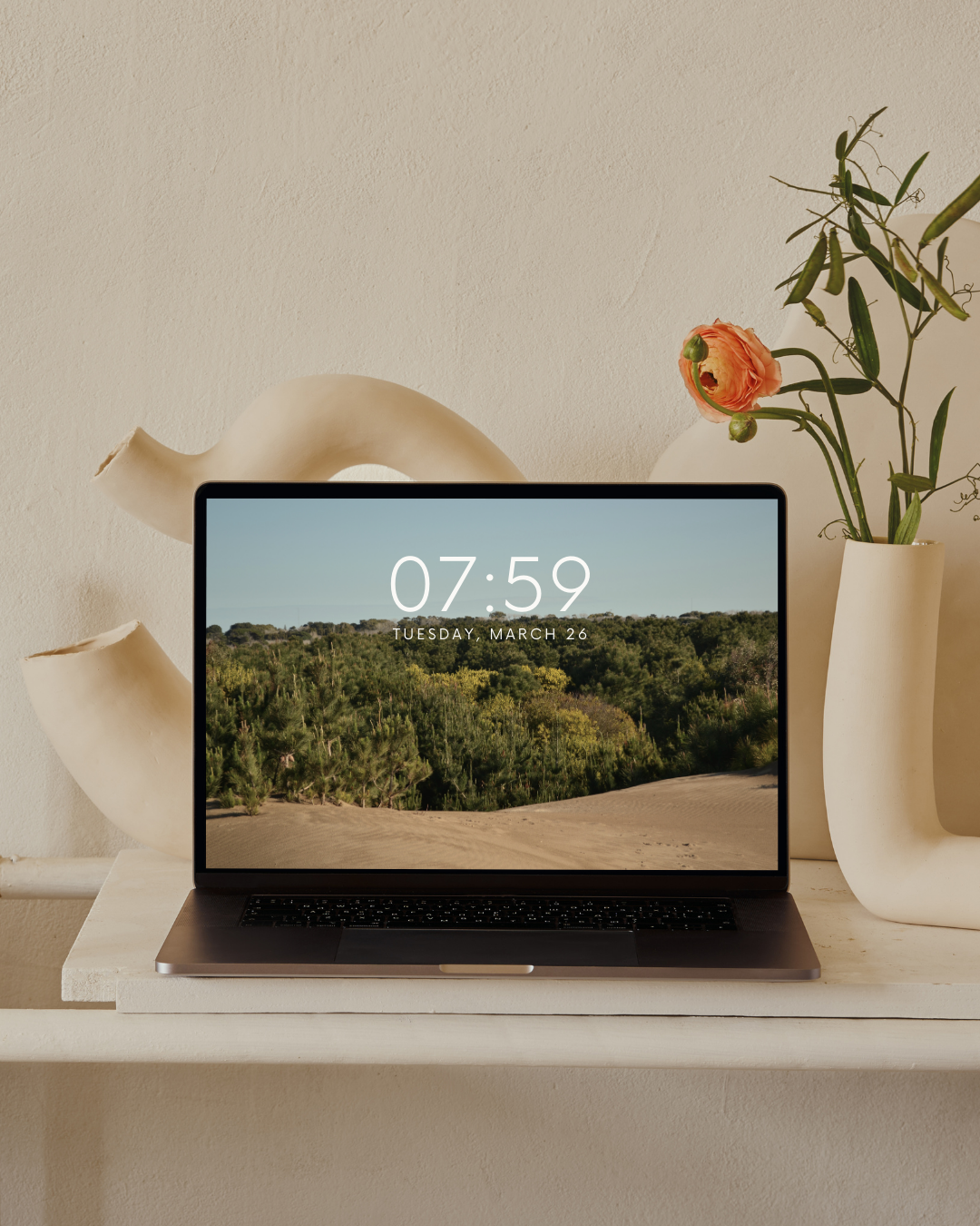 Laptop con fondo de pantalla de dunas y bosque